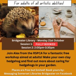 Adult Hedgehog workshop #2