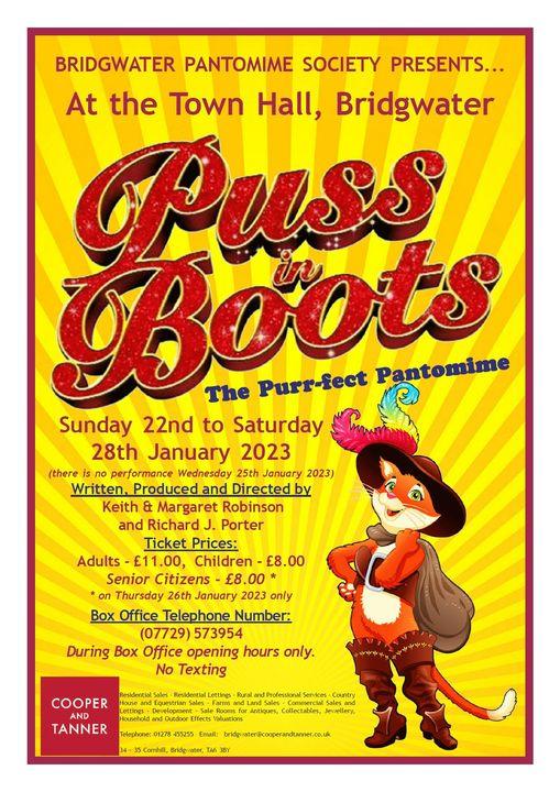 puss in boots large