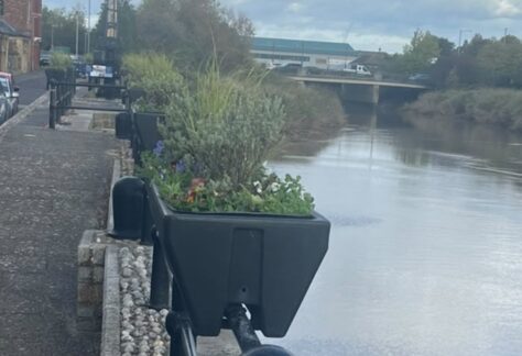 West Quay planters