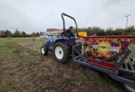 Bulb Planting