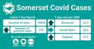 Somerset covid cases 14