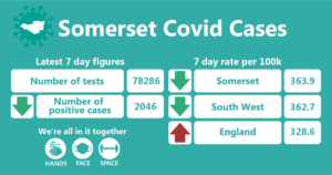 somerset covid cases 37