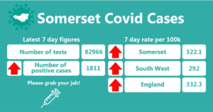 somerset covid cases 40 1