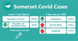 somerset covid cases 42